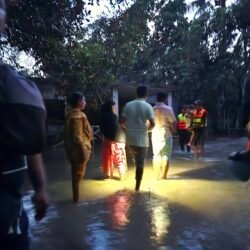 494533667_3116349868522901_1534913308498654464_n